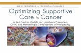 New Frontiers and Paradigm Changes in Optimizing Supportive Care in Cancer Focus on Thrombosis Prevention, CINV, and Hematologic Complications of Malignancy.