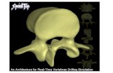 An Architecture for Real-Time Vertebrae Drilling Simulation.
