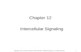 1 Chapter 12 Intercellular Signaling Copyright © 2012, American Society for Neurochemistry. Published by Elsevier Inc. All rights reserved.