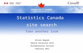 Take another look Alison Hayman Search Solutions Unit Dissemination Divison February 2011 Statistics Canada site search.