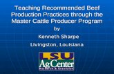 Teaching Recommended Beef Production Practices through the Master Cattle Producer Program by Kenneth Sharpe Kenneth Sharpe Livingston, Louisiana.