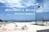 Minamata Mercury Diseases ( Presentation )