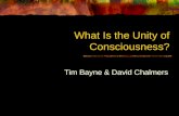 What Is the Unity of Consciousness? Tim Bayne & David Chalmers.