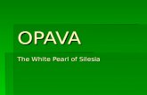 OPAVA The White Pearl of Silesia. LOCATION The city of Opava is situated in the Moravian-Silesian Region. This region is located in the north-east of.