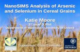 NanoSIMS Analysis of Arsenic and Selenium in Cereal Grains Supervisor: Chris Grovenor Katie Moore 3 rd year D.Phil Department of Materials – University.