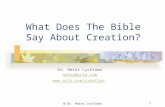 @ Dr. Heinz Lycklama1 What Does The Bible Say About Creation? Dr. Heinz Lycklama heinz@osta.com .