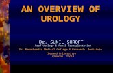 Urology overview  SRMC – Jan 2000 Dr. SUNIL SHROFF Prof.Urology & Renal Transplantation Sri Ramachandra Medical College & Research Institute.