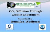 CO 2 Diffusion Through Gelatin Experiment Presented by Jennifer Welborn.