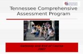 Tennessee Comprehensive Assessment Program Gateway and End of Course 2007.