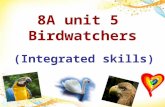 8A unit 5 Birdwatchers (Integrated skills) 1.How large is it? 2.Why is it an ideal home for birds? =Whats the area of it ?