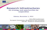 Anna Maria Johansson European Commission, DG Research and Innovation Unit B3 - Research Infrastructures Research Infrastructures EU strategy and opportunities.