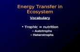 Energy Transfer in Ecosystem Vocabulary Trophic = nutrition –Autotrophs –Heterotrophs.