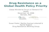 Drug Resistance as a Global Health Policy Priority Susan Foster, Martha Gyansa-Lutterodt & Rachel Nugent Drug Resistance Working Group Global Ministerial.