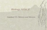 Biology AHSGE Standard VI- Mitosis and Meiosis. Biology AHSGE CONTENT STANDARD 6. Describe the roles of mitotic and meiotic divisions during reproduction,