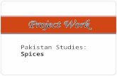 Pakistan Studies: Spices. What are spices? A spice is a dried seed, fruit, root, bark, or vegetative substance used in nutritionally insignificant quantities.