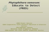 Phytophthora ramorum: Educate to Detect (PRED) Phytophthora ramorum: Educate to Detect (PRED) USDA-Forest Service USDA-Cooperative State Research Education.