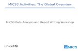 MICS3 Activities: The Global Overview MICS3 Data Analysis and Report Writing Workshop.
