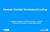 Female Genital Mutilation/Cutting Multiple Indicator Cluster Surveys - MICS3 Analysis and Report Writing Workshop.