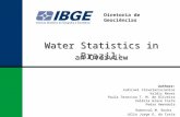 Water Statistics in Brazil: Diretoria de Geociências Authors: Judicael ClevelarioJunior Valdir Neves Paula Terezina T. M. de Oliveira Valéria Grace Costa.