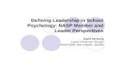 Defining Leadership in School Psychology: NASP Member and Leader Perspectives David Shriberg Loyola University Chicago NASP 2008- New Orleans, @2008.