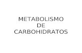 METABOLISMO DE CARBOHIDRATOS GLUCÓLISIS.