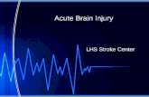 Acute Brain Injury LHS Stroke Center. Objectives Understand need for stroke protocol. Review Brain Anatomy and function. Understand cerebral perfusion.