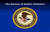 1 The Bureau of Justice Statistics. 2 Mission and Organization Statistical arm of the Department of Justice Statistical arm of the Department of Justice.