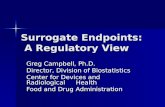 Surrogate Endpoints: A Regulatory View Greg Campbell, Ph.D. Director, Division of Biostatistics Center for Devices and Radiological Health Food and Drug.