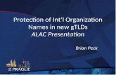Protection of Intl Organization Names in new gTLDs ALAC Presentation Brian Peck.