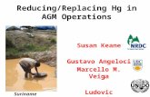 Susan Keane Gustavo Angeloci Marcello M. Veiga Ludovic Bernaudat Reducing/Replacing Hg in AGM Operations Suriname.