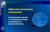 Division of Early Warning & Assessment Millennium Ecosystem Assessment Strengthening capacity to sustainably manage ecosystems for human well-being.