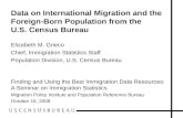 Data on International Migration and the Foreign-Born Population from the U.S. Census Bureau Elizabeth M. Grieco Chief, Immigration Statistics Staff Population.