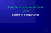 1 Unit D: Production of Field Crops Lesson 4: Forage Crops.