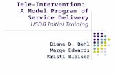 Tele-Intervention: A Model Program of Service Delivery USDB Initial Training Diane D. Behl Marge Edwards Kristi Blaiser.