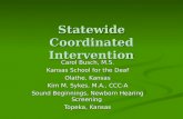 Statewide Coordinated Intervention Carol Busch, M.S. Kansas School for the Deaf Olathe, Kansas Kim M. Sykes, M.A., CCC-A Sound Beginnings, Newborn Hearing.