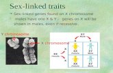 Sex-linked traits §Sex-linked genes found on X chromosome § males have one X & Y – genes on X will be shown in males, even if recessive. Y chromosome X.