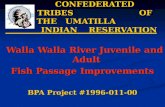 CONFEDERATED TRIBES OF THE UMATILLA INDIAN RESERVATION Walla Walla River Juvenile and Adult Walla Walla River Juvenile and Adult Fish Passage Improvements.