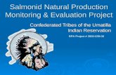 Salmonid Natural Production Monitoring & Evaluation Project Confederated Tribes of the Umatilla Indian Reservation BPA Project # 2000-039-00.