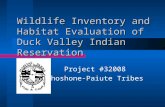 Wildlife Inventory and Habitat Evaluation of Duck Valley Indian Reservation Project #32008 Shoshone-Paiute Tribes.