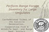 Perform Range Forage Inventory for Large Ungulates Confederated Tribes of the Colville Reservation, Cooperative Fish & Wildlife Dept. and Range Dept. Project.