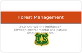 24.0 Analyze the interaction between environmental and natural resource sciences Forest Management.