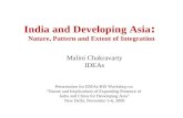 Malini Chakravarty IDEAs Presentation for IDEAs-RIS Workshop on Nature and Implications of Expanding Presence of India and China for Developing Asia New.