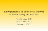 1 New patterns of economic growth in developing economies Noemi Levy-Orlik UNAM-MEXICO January, 2007.