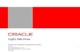 11gR1 OWLPrime Oracle New England Development Center Zhe Wu alan.wu@oracle.comalan.wu@oracle.com, Ph.D. Consultant Member of Technical Staff Dec 2007 1.