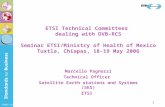 SEM02-10 1 ETSI Technical Committees dealing with DVB-RCS Seminar ETSI/Ministry of Health of Mexico Tuxtla, Chiapas, 18-19 May 2006 Marcello Pagnozzi Technical.