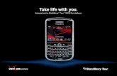 Activate BlackBerry on Verizon Wireless Network Activate Perform OTA activation (*228 send option 1) > Perform test call Test data services > Select Browser.