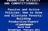 FACILITATING PRODUCTIVE ACTIVITY AND COMPETITIVENESS: Passive and Active Policies: How to Grow and Alleviate Poverty: Building Productive/Export Platform.