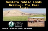 Western Public Lands Grazing: The Real Costs Explore, enjoy and protect the planet Forest Guardians Jonathan Proctor.