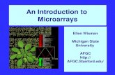 An Introduction to Microarrays Ellen Wisman Michigan State University AFGC . edu