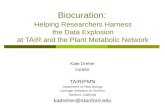 Biocuration: Helping Researchers Harness the Data Explosion at TAIR and the Plant Metabolic Network Kate Dreher curator TAIR/PMN Department of Plant Biology.